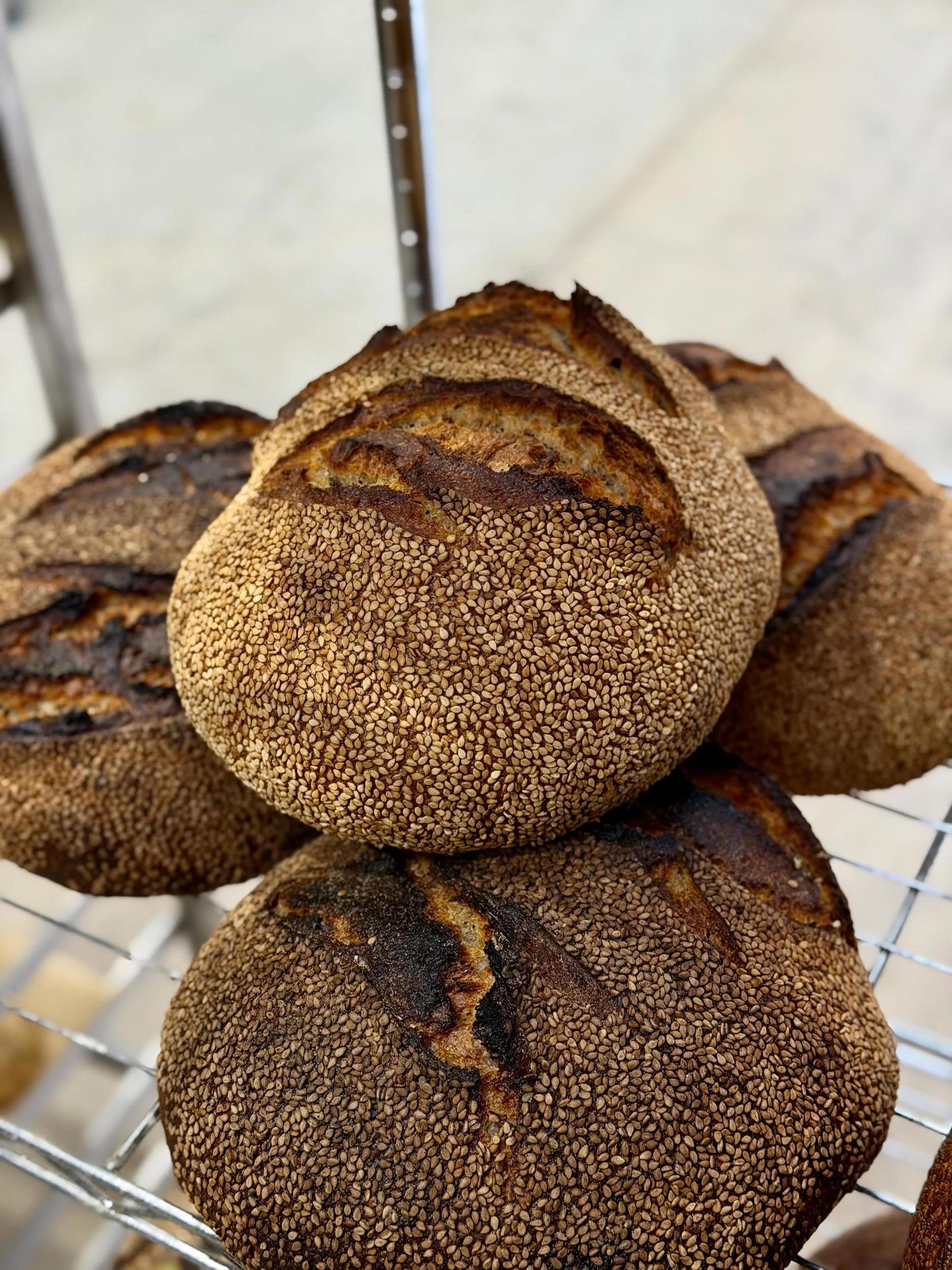 Cormo Bakery sesame loaf